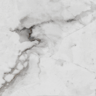 60х60 Carrara Betria R_PR1005 керамогранит полированный