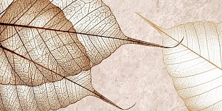 Декор 30х60 Ирида Листья 1 TP3688F1