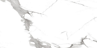 60х120 Segesta Grey R_NR2002 керамогранит матовый