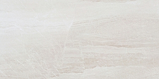 60х120 Zeus ZS612NTT9702P керамогранит полированный