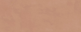 20х50 7254 Каннареджо оранжевый матовый