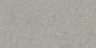 60х119,5 DD507820R Чеппо ди Гре серый матовый обрезной